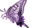 violetfly avatar
