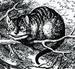 Cheshire-Cat avatar