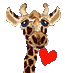 cheesygiraffe avatar