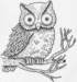 Owl avatar